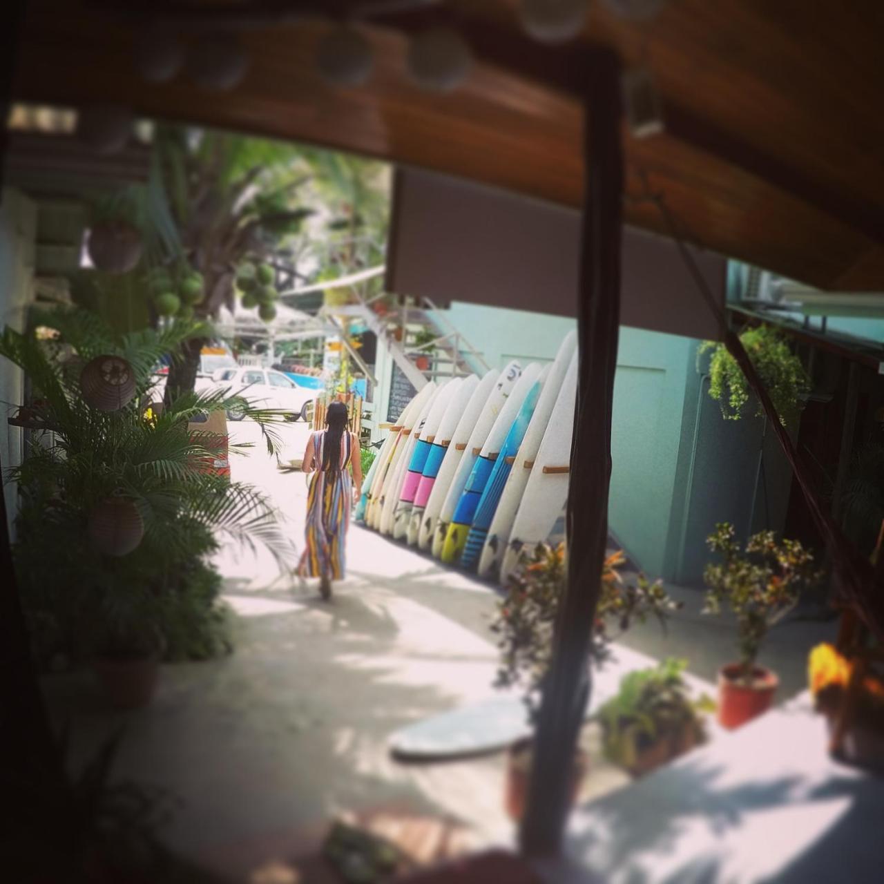 Cocobolo Surf Hotel & School Playa Santa Teresa  Eksteriør billede